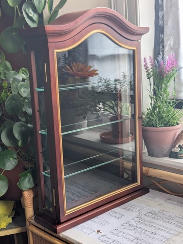 Wooden display cabinet whatnot